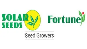 Fortune Solar Seeds